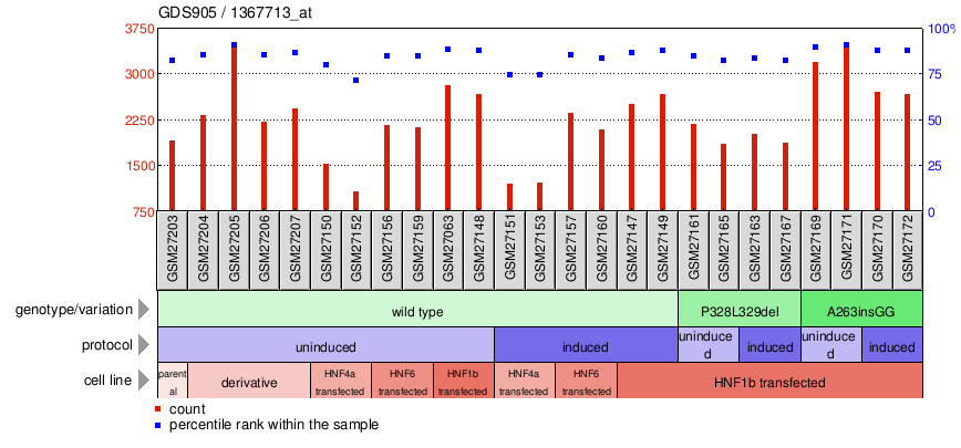 Gene Expression Profile