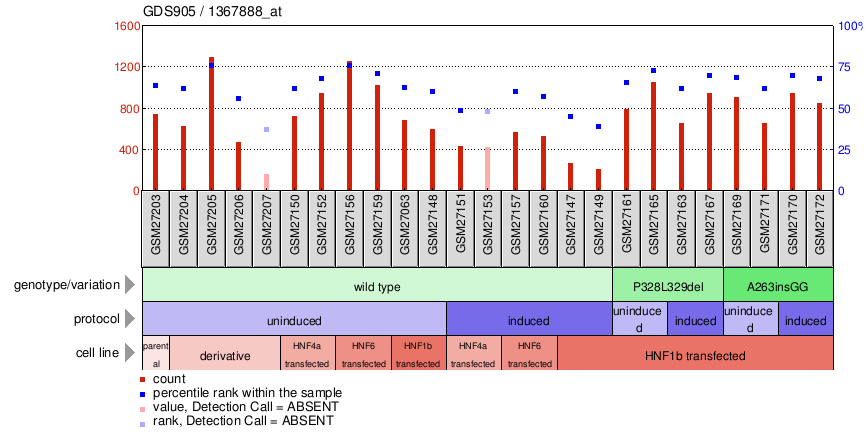 Gene Expression Profile