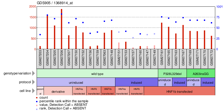 Gene Expression Profile