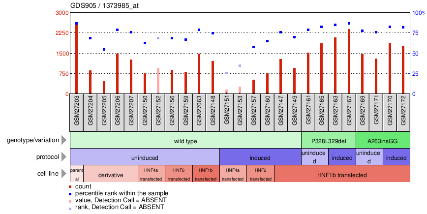 Gene Expression Profile