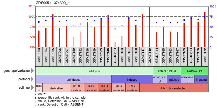 Gene Expression Profile