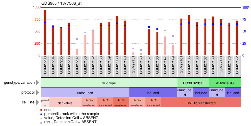 Gene Expression Profile