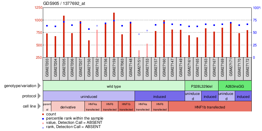 Gene Expression Profile