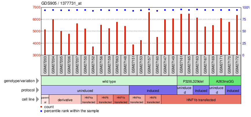 Gene Expression Profile