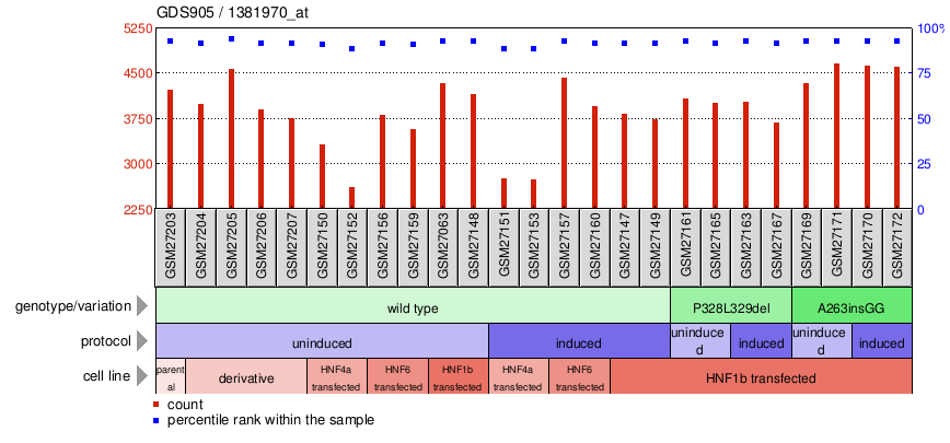 Gene Expression Profile