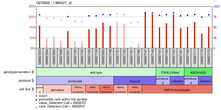 Gene Expression Profile