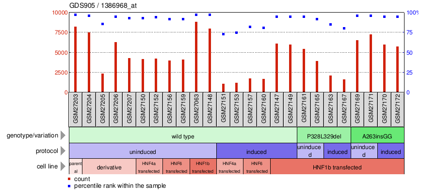 Gene Expression Profile