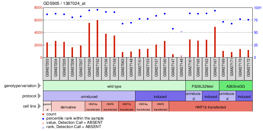 Gene Expression Profile