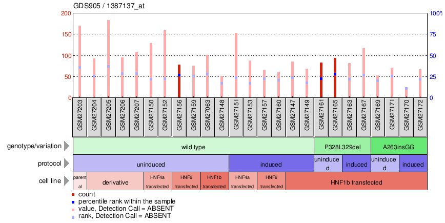 Gene Expression Profile