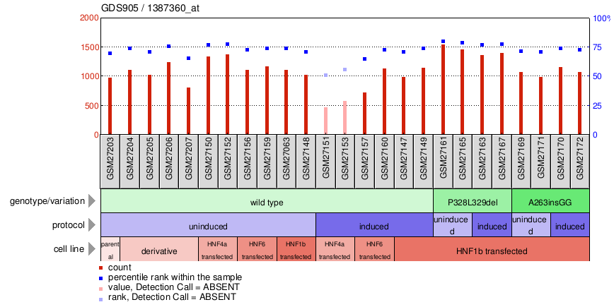 Gene Expression Profile