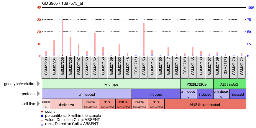 Gene Expression Profile