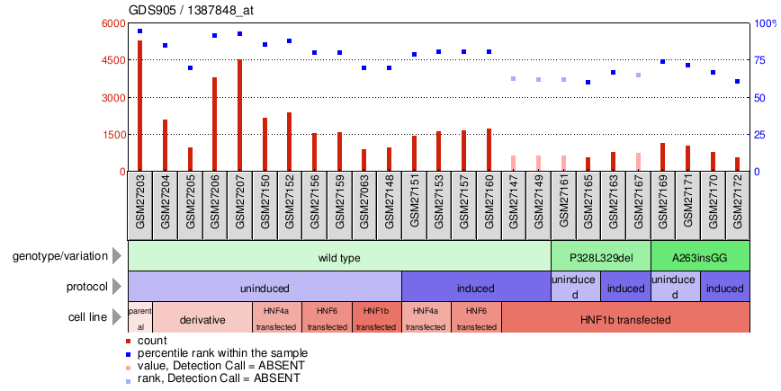 Gene Expression Profile