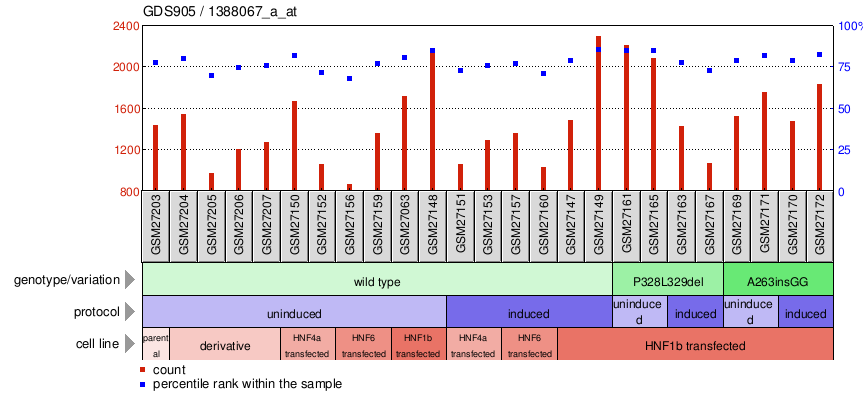 Gene Expression Profile