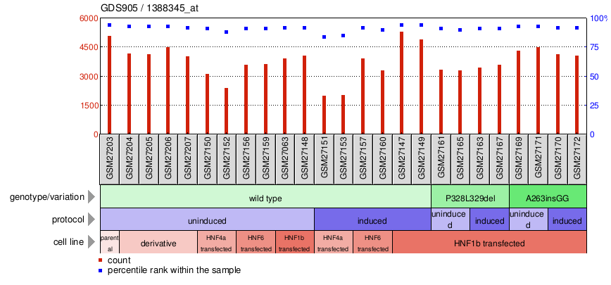 Gene Expression Profile