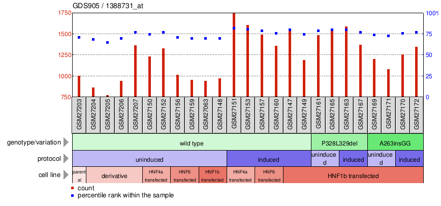 Gene Expression Profile