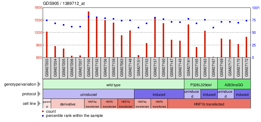 Gene Expression Profile