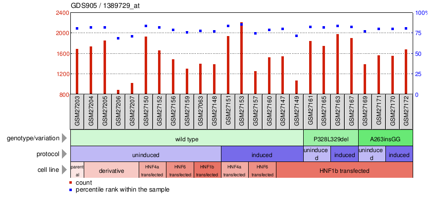 Gene Expression Profile