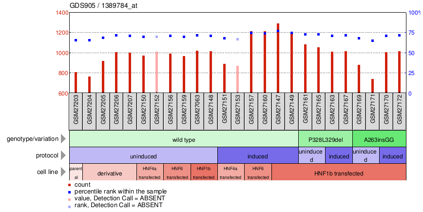 Gene Expression Profile