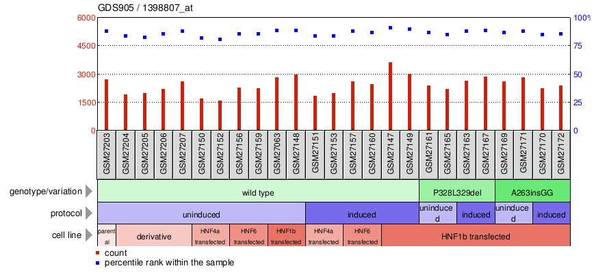 Gene Expression Profile