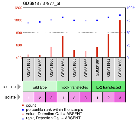 Gene Expression Profile