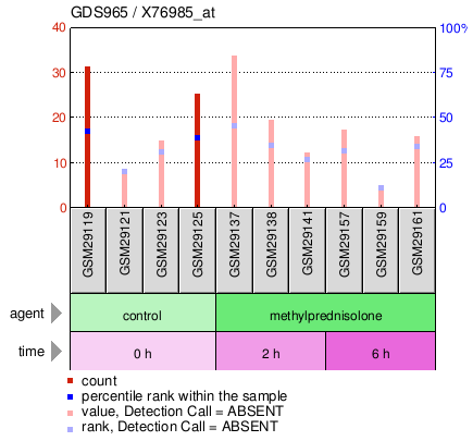 Gene Expression Profile