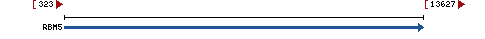 Genomic Context describing neighboring genes