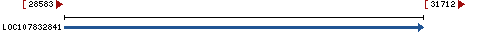 Genomic Context describing neighboring genes