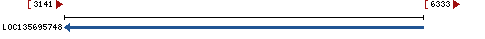 Genomic Context describing neighboring genes