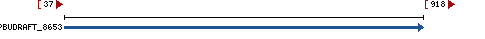 Genomic Context describing neighboring genes