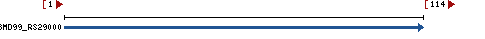 Genomic Context describing neighboring genes